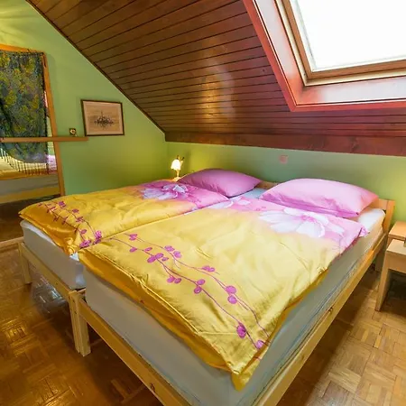 게스트하우스 Zazer Penthouse